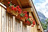 Baskets of geraniums on the first floor balcony