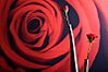 Colour at Chalet l'Outa