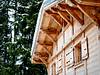 Chalet les Drus